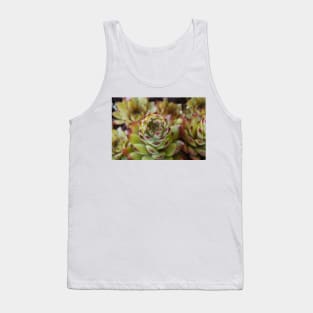 Sempervivum  'Bernstein'  Houseleek Tank Top